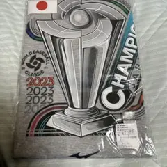 Item thumbnail for item 9d3558a1-3db0-4411-a256-a5f4cb25ceed