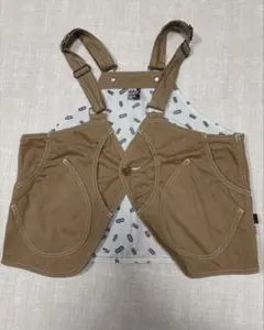 Chums キャンプ　釣り　ベストのサムネイル