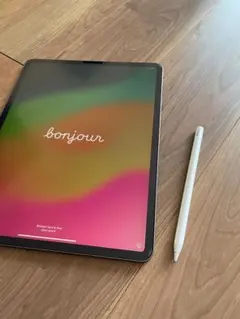 【電池87%】iPad Pro 12.9 第4世代＋Apple Pencil 2