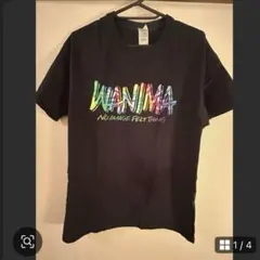 WANIMA カミナッチャ Tシャツ Mサイズ
