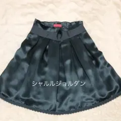 No.110 シャルルジョルダン ハイウエスト スカートのサムネイル