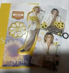 瀬口黎弥　アクリルスタンド　フォトカード　セット