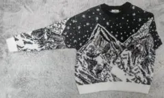 WEGO/山柄ニットプルオーバー