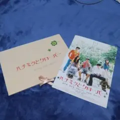 ハチミツとクローバーの映画チラシとパンフレット　リボン付櫻井君