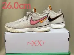 NIKE LEBRON NXXT Genナイキ レブロン　ネクストジェン26cmのサムネイル