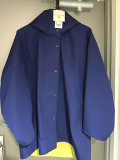 Item thumbnail for item 4565fe70-5756-4c74-bd24-6ff41b9d0998