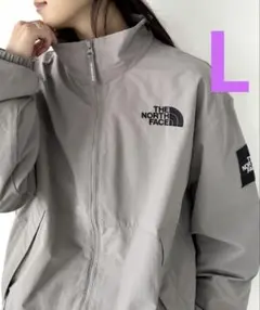最安値⭐️ノースフェイス VILAN JACKET グレーL