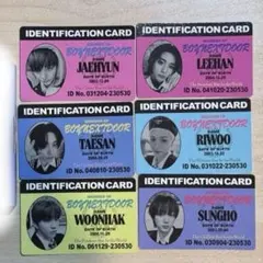 BOYNEXTDOOR HOW? IDカード6枚セット ボネクド　テサン