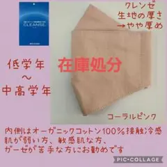 Item thumbnail for item 24f17aa1-c94f-43ed-aec5-407e87c91c04