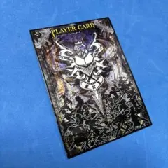 Lord of Vermilion III プレイヤーカード