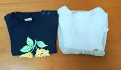 【プティマイン】チュニックと花柄Tシャツセット