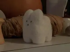 うさぎ