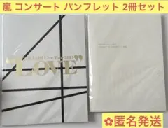 嵐 君と僕の見ている風景 LOVE コンサート パンフレット 2冊セット