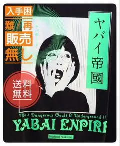 ビートたけし 所ジョージ『生殺し特攻服Tシャツ』総長（ジェリーカラー