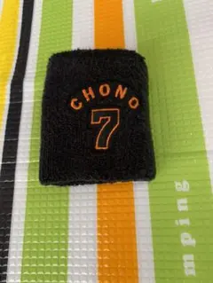 読売ジャイアンツ　　長野