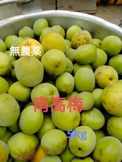 訳あり1.2kg】農薬・化学肥料不使用 梅 らくらくメルカリ便 ② - メルカリ