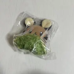 韓国 ポケモン ポップアップ デデンネ - メルカリ