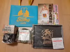 Item thumbnail for item 1b619db0-332b-492f-8aac-1538bdb7566b