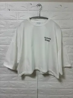 SACRA 5分袖　Tシャツ ホワイト 38のサムネイル