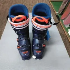 Item thumbnail for item 4fd1b89c-50d2-4199-abef-c715544a6cf7