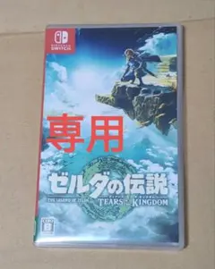 【炭水化物大好き　様専用】ゼルダの伝説 TEARS OF THE KINGDOM