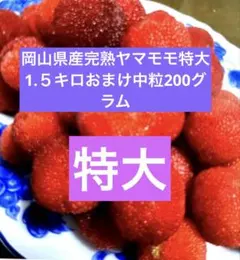 岡山県産完熟ヤマモモ中玉1.5キロおまけ100グラム - メルカリ