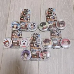 ゲーセン銀魂ァァァランド!!Winter2015 記念缶バッジセット 5種セット