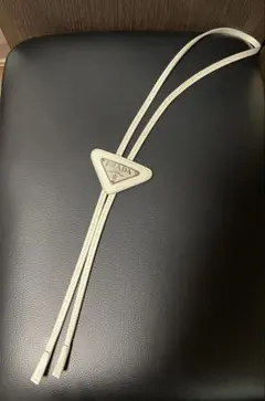 Item thumbnail for item 445d36b6-3e80-4ec2-be0a-e9fe048d82a8