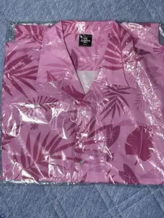 Item thumbnail for item a47da4f2-5eab-403b-bd80-f9ff68265b50