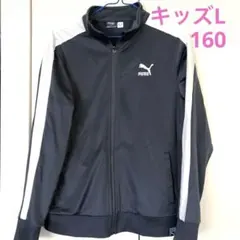 PUMAジャージ上