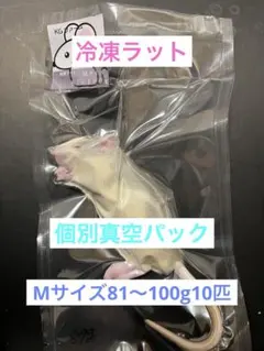 冷凍ラット - メルカリ