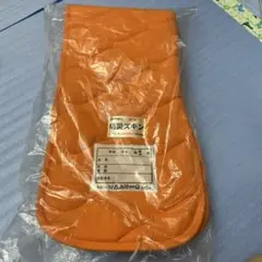 Item thumbnail for item 22a2b916-6786-4b90-9f84-a952fe04812c