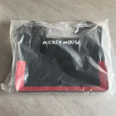 Item thumbnail for item 47226a1e-dc8e-4abf-9ddd-558c2f22de2f