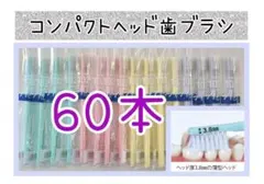 Ciコンパクトヘッド歯ブラシ60本