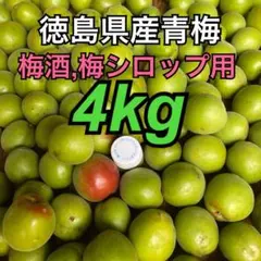 徳島県産 青梅 梅酒 梅シロップ用 4kgのサムネイル