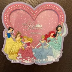 ディズニープリンセスフォトフレーム