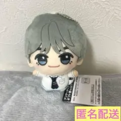 V BTS TinyTAN タイニータン DNA ちびぐるみ テテ