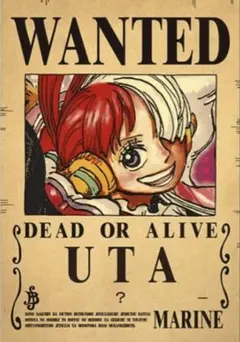 ONEPIECE ワンピース 手配書 ポスター レイリー - メルカリ