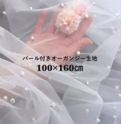 Item thumbnail for item 1eaa7305-0df0-47c8-a83a-a394f3082ce5