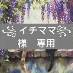 ꧁ イチママ꧂様　専用