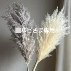 パンパスグラス グレー　くすみカラー　ロング　スワッグ花材　インテリア