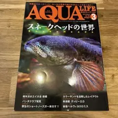 月刊アクアライフ2018年3月号　特集「スネークヘッドの世界」