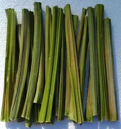 乾燥 パパイヤの茎 100g うさぎ モルモットのごはん おやつ ペットフード