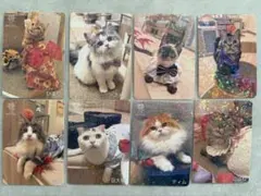 猫カフェ mocha いちご収穫祭 にゃんずトレカ 吉祥寺店 - メルカリ