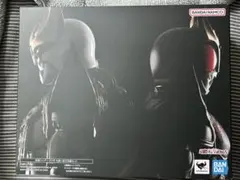 s.h.figuarts 真骨彫製法　仮面ライダークウガ　九郎ヶ岳の死闘セット