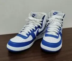 NIKE TERMINATOR HIGH FJ4454-100NIKE 27.5