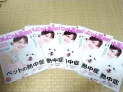 同梱10円　わん!! Walker 2022年10-11月号 わん!! Walker 2022年10-11月号