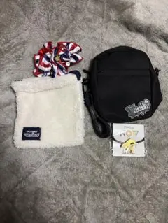 Item thumbnail for item c82108df-839d-4c5b-b4d7-ecefa8515eed