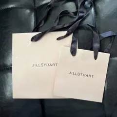 JILLSTUART 紙袋 大小セット