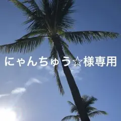 にゃんちゅう☆様専用